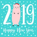 Happy New Year 2019 text. Cute fat pig. Santa hat. Pink piggy piglet. Snow flake. Chinise symbol. Cartoon funny kawaii smiling Royalty Free Stock Photo