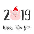 Happy New Year 2019 text. Cute pig face head. Red santa hat. Pink piggy piglet. Chinise symbol. Cartoon funny kawaii smiling baby