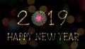 Happy New Year 2019 text hand written sparkles fireworks with Colorful fireworks of various colors at night Royalty Free Stock Photo