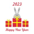 Happy New Year 2023, vector greeting card with rabbit