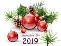 Happy New Year 2019 watercolor card Vector. Red Christmas balls decors