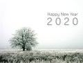 Happy new year 2020. winter landscape