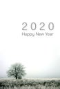 Happy new year 2020. winter landscape