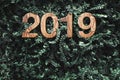2019 happy new year wood texture number on Green leaves wall background,Nature eco concept,organic greeting card holiday.leave co Royalty Free Stock Photo