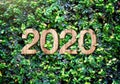 2020 happy new year wood texture number on Green leaves wall background,Nature eco concept,organic greeting card holiday.banner