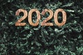 2020 happy new year wood texture number on Green leaves wall background,Nature eco concept,organic greeting card holiday.banner Royalty Free Stock Photo