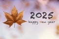 2025 Happy new year