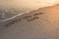 Happy New Year 2019,written In Sand Write On Tropical Beach With