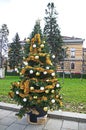 Happy New Year 2024 and xmas, with a photo of a beautiful Christmas tree on the sidewalk of a city street Royalty Free Stock Photo