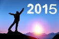 Happy new year 2015. young man standing on the top of mountain Royalty Free Stock Photo