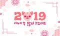 2019 Happy New Year zodiac pig sign character,asian traditional wish in Koreans hieroglyphs greeting card,Oriental