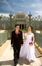 Happy newly weds Royalty Free Stock Photo