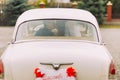 Happy newlywed couple kissing on a backseat of retro car, rear view Royalty Free Stock Photo