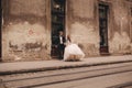 Happy newlywed couple on a walk in old European town street, gorgeous bride in white wedding dress together with handsome groom Royalty Free Stock Photo