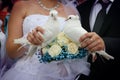 Happy newlyweds holding white doves Royalty Free Stock Photo