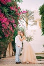 Happy newlyweds walk among blooming trees and flowers during the honeymoon Royalty Free Stock Photo