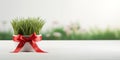 Happy Nowruz holiday background. Green wheat grass semeni tied with a red bow. Simple Nowruz symbol background