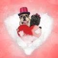 Happy old couple of dogs are still sharing their love on valentine`s day