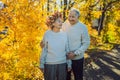 Happy old couple having fun at autumn park. Elderly man wearing a wreath of autumn leaves to his elderly wife