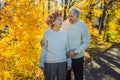 Happy old couple having fun at autumn park. Elderly man wearing a wreath of autumn leaves to his elderly wife