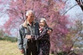 Happy old couple smiling in a park.mature couple with cherry blossom sakura tree.seniors lover family and healthcare concept Royalty Free Stock Photo