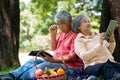 Happy old elderly couple spouses relaxing and sitting on a blanket in the park and sharing few precious memories. Senior couple Royalty Free Stock Photo