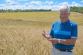 Happy old elderly male standing in wheat fields