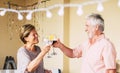 Happy old senior caucasian couple celebrate together with a cup of wine - people having fun celebrationth drinks - retired elderly