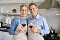Happy old senior 50s couple hugging drinking wine, looking at camera in kitchen. Royalty Free Stock Photo