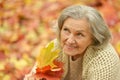 happy old woman Royalty Free Stock Photo