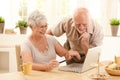 Happy older couple doing online shopping Royalty Free Stock Photo