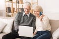 Happy older couple doing online shopping at home Royalty Free Stock Photo