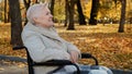 Happy outdoors elderly middle aged woman joyfully resting in autumn park sitting in wheelchair with disability illnesses Royalty Free Stock Photo