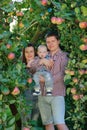 Happy parents with child in apple garden