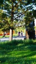 Happy people on a green lawn background