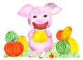 Cute pig. Watercolor illustration.