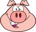 Happy Pig Head Cartoon Mascot Character Royalty Free Stock Photo