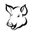 Happy pig head portrait Royalty Free Stock Photo