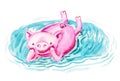 Happy pig is relaxing in the puddle Royalty Free Stock Photo