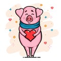 Happy pig with scarf and heart in hands for Chinese new year or Christmas or Valentines love day greeting card, holiday poster, br