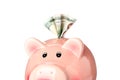 Happy piggy bank with money isolated on white background, closeup Royalty Free Stock Photo
