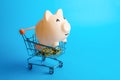 Happy piggy bank in a shopping cart. Optimism and joy from shopping. Credits and loans. Wealth and prosperity. Sale, favorable Royalty Free Stock Photo