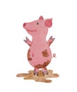 Happy piggy drawn watercolor lies in a dirty puddle on a white b Royalty Free Stock Photo