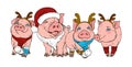 Happy pigs in Christmas costumes