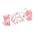 Happy pigs with love letters, presents for Valentine s day on white background. Royalty Free Stock Photo