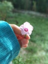 Happy Pink calmly flower dream