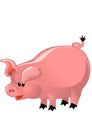 Happy pink pig