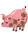 Happy pink pig