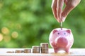 Happy Pink Piggy  Bank in close-up and coins stack and Coin handle on the nature background, Royalty Free Stock Photo