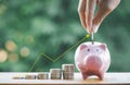 Happy Pink Piggy  Bank in close-up and coins stack and Coin handle on the nature background, Royalty Free Stock Photo